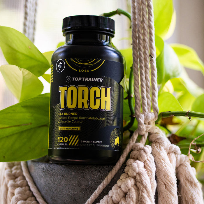 A bottle of Torch among green plants